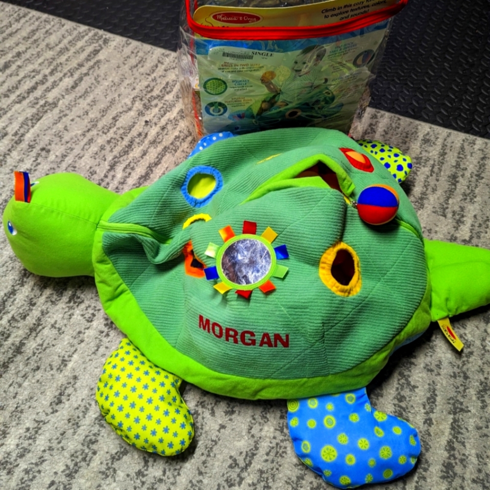 M&D Turtle Ball Pit